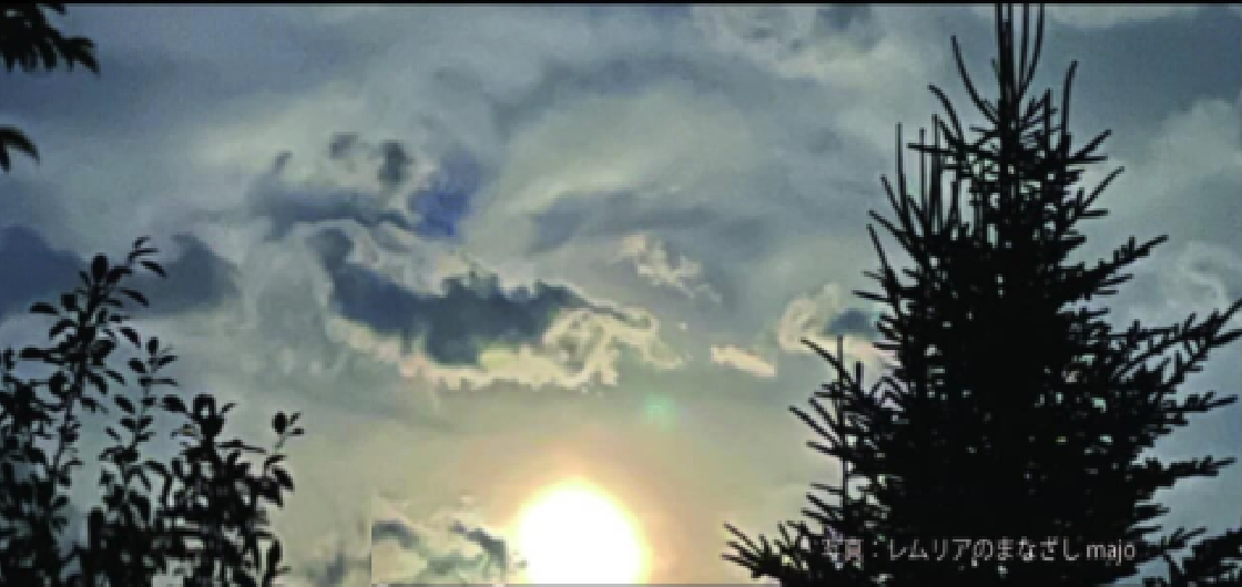 雲の間から差す光と木々